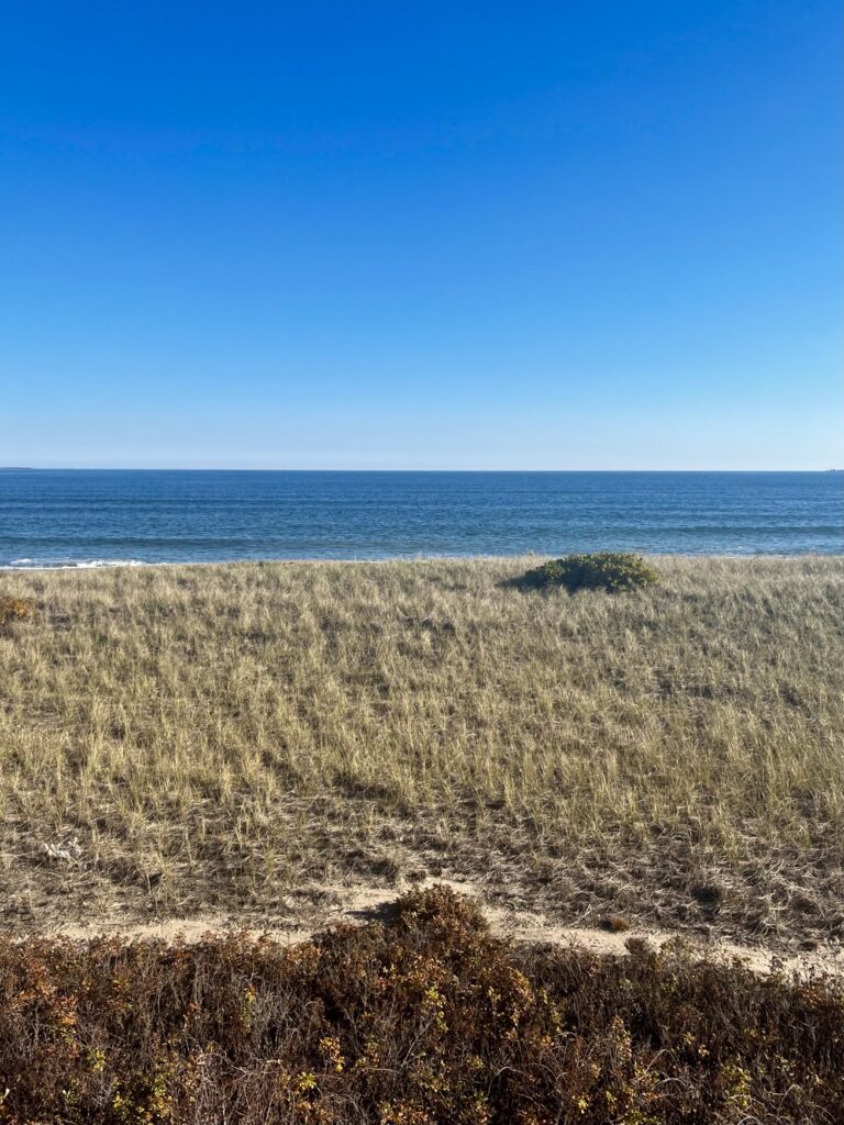 premier oceanfront king double studio beach view